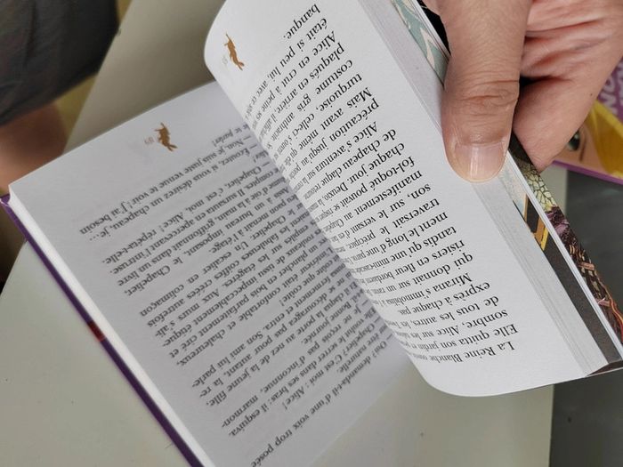 Livre Alice de l'autre côté du miroir - photo numéro 7