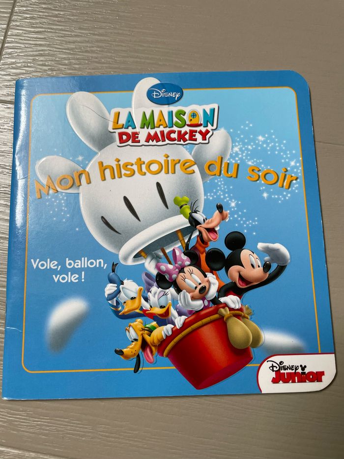 La maison de Mickey