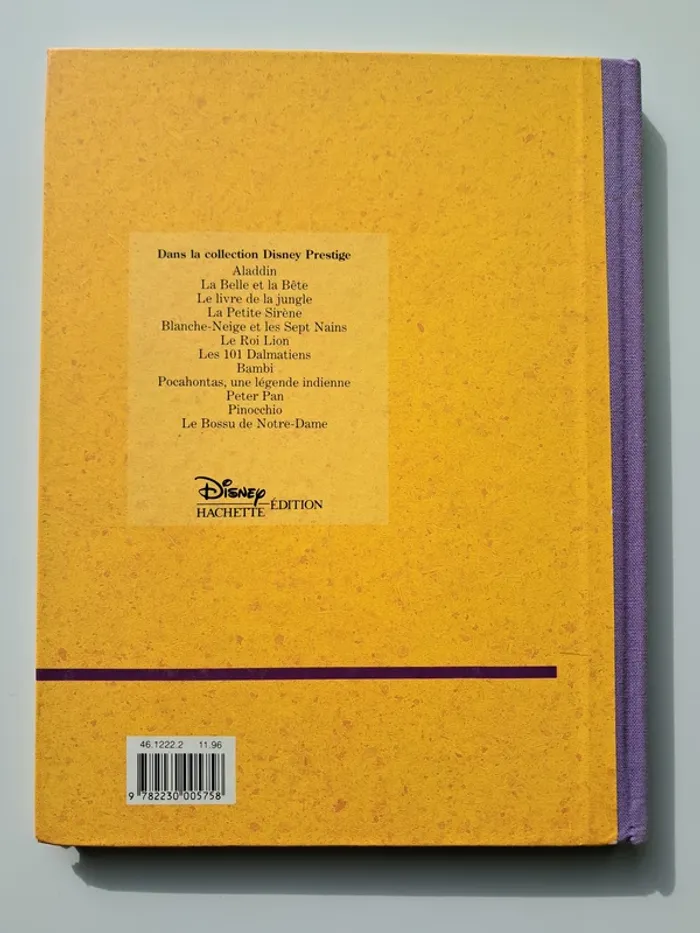 Livre Le Bossu de Notre-Dame de Walt Disney - photo numéro 4