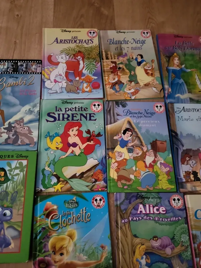 Lot livres disney - photo numéro 3