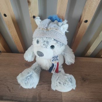 Chien Husky histoire d'ours