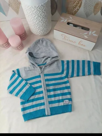 Gilet zippé à capuche Grain de Blé garçon 12 mois