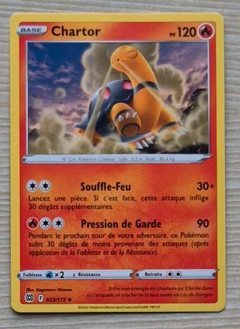 Chartor Stars Étincelantes