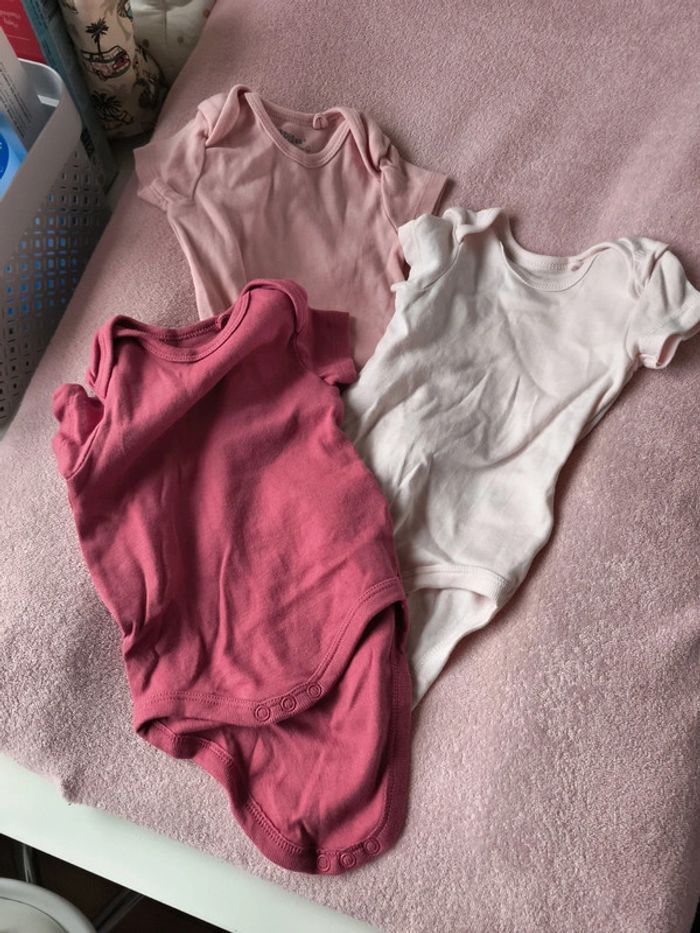 Bodies