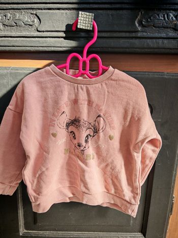 Pull Disney baby
