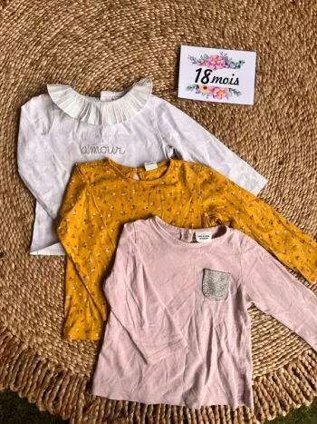 Lot teeshirt manches longues 18 mois