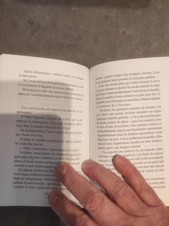 Le restaurant de l'amour retrouvé Ogawa Ito - Picquier Poche 2022 - photo numéro 4