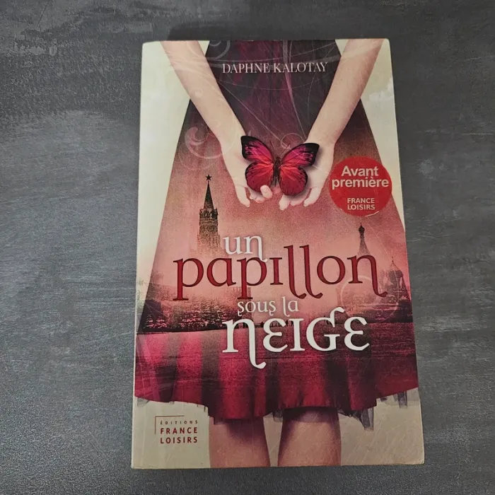 Livre un papillon sous la neige