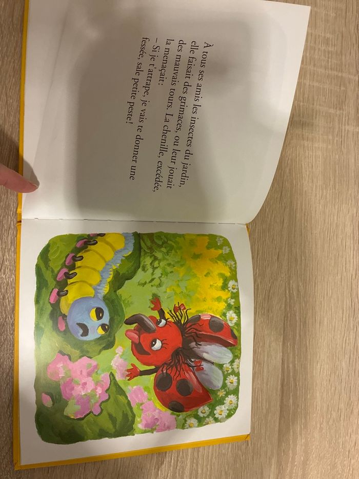 Belle la coccinelle - photo numéro 3