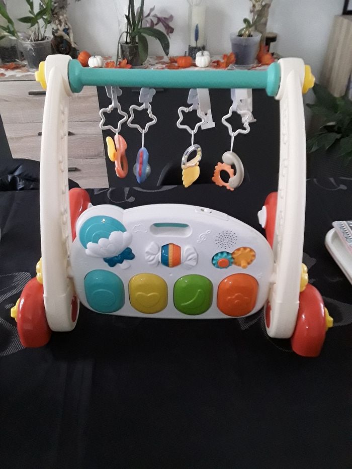 Trotteur - photo numéro 6