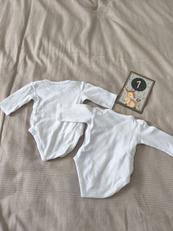 Lots 2 bodies - photo numéro 2