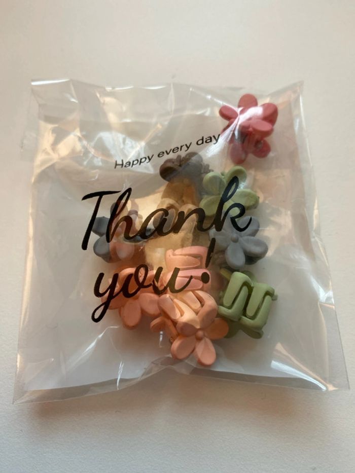 Lot de 10 mini pinces différentes couleurs