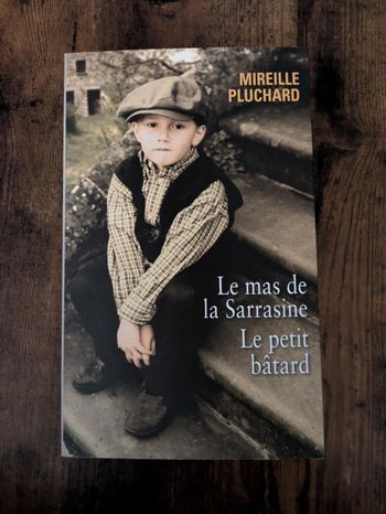 Le Mas de la Sarrasine, le petit batard