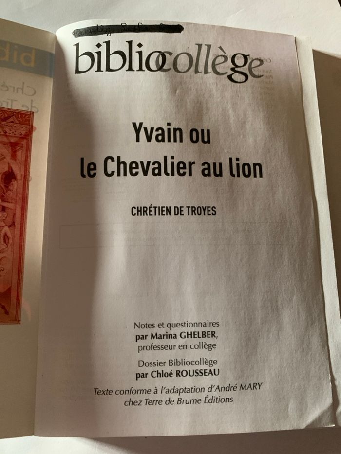 Yvain ou le chevalier au lion - Chrétien de Troyes - photo numéro 3