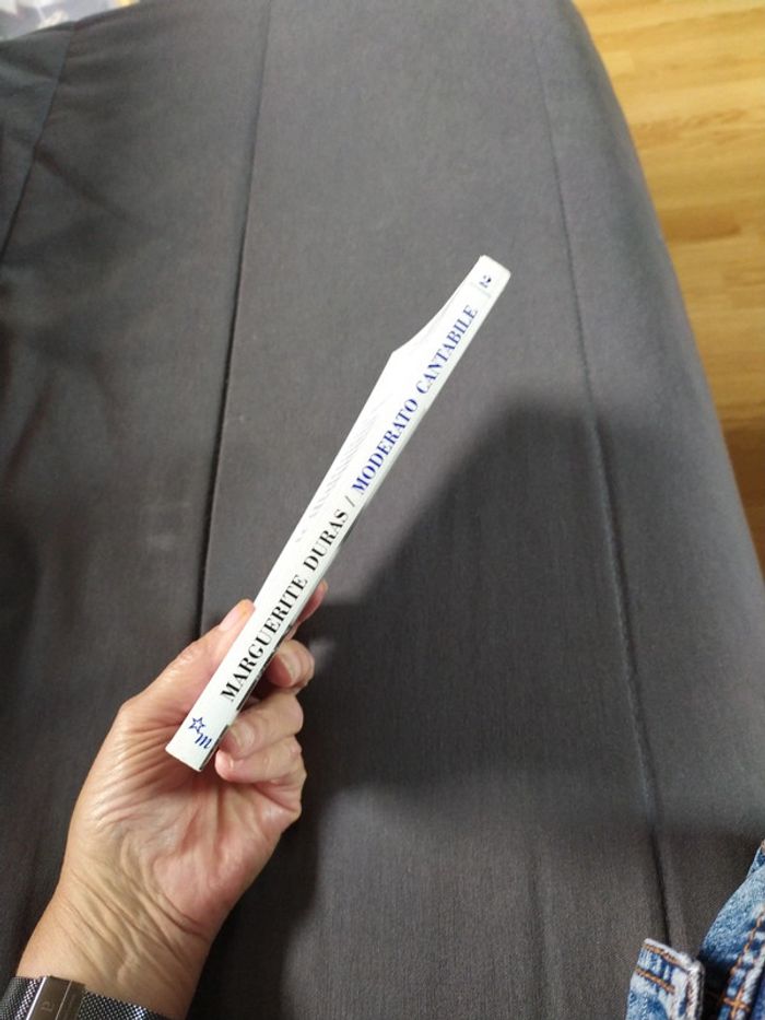 Moderato Cantabile de Marguerite Duras - photo numéro 3