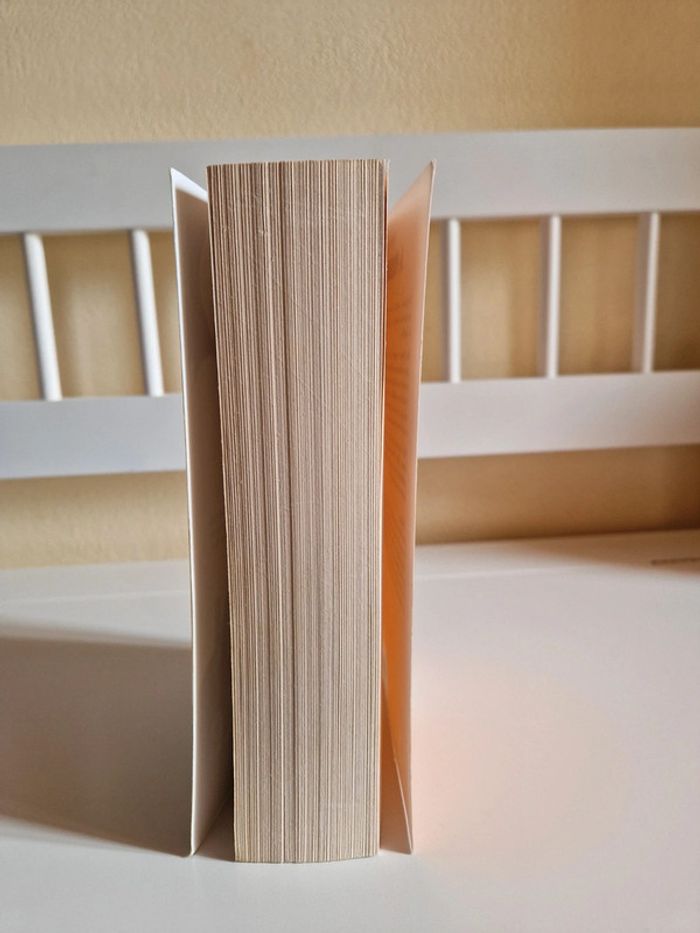 Livre New romance - photo numéro 4