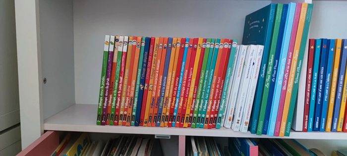 Livres T'choupi