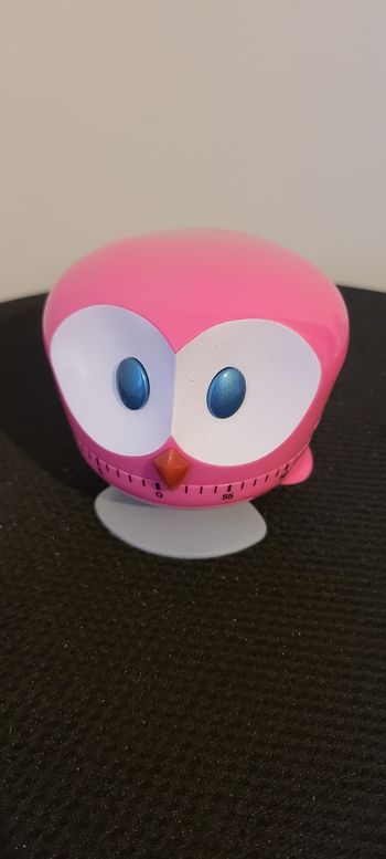 Rappel de cuisine - Minuteur mécanique - Alarme manuelle