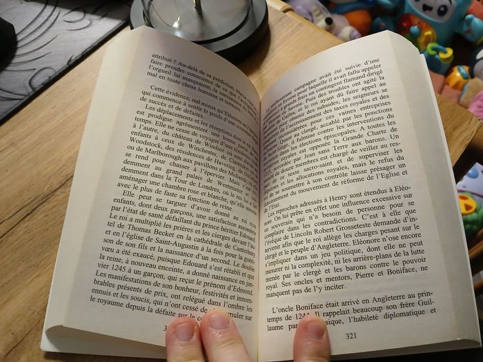 LIVRE LES DEMOISELLES DE PROVENCES DE PAYRICK DE CAROLIS - photo numéro 3