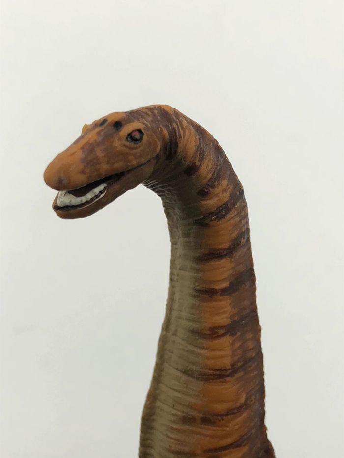 Figurine Dinosaure Apatosaurus Safari LTD 1996 - photo numéro 8