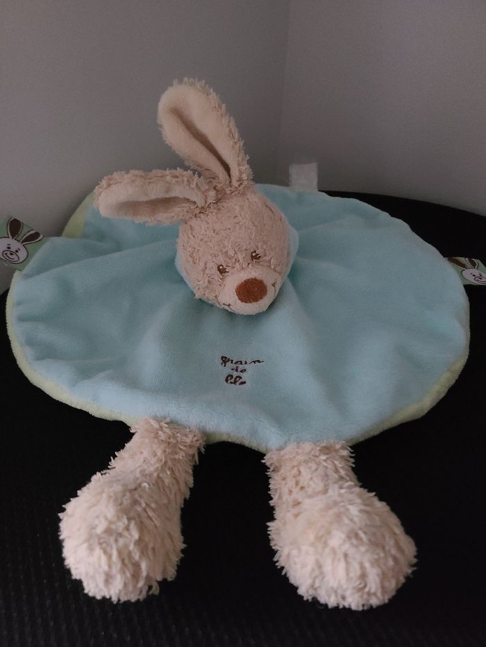 Doudou lapin - photo numéro 4