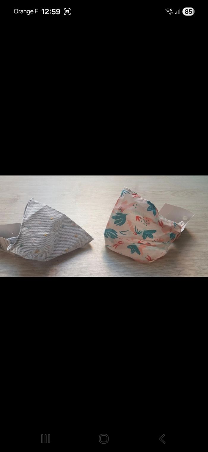 Fichus - photo numéro 3