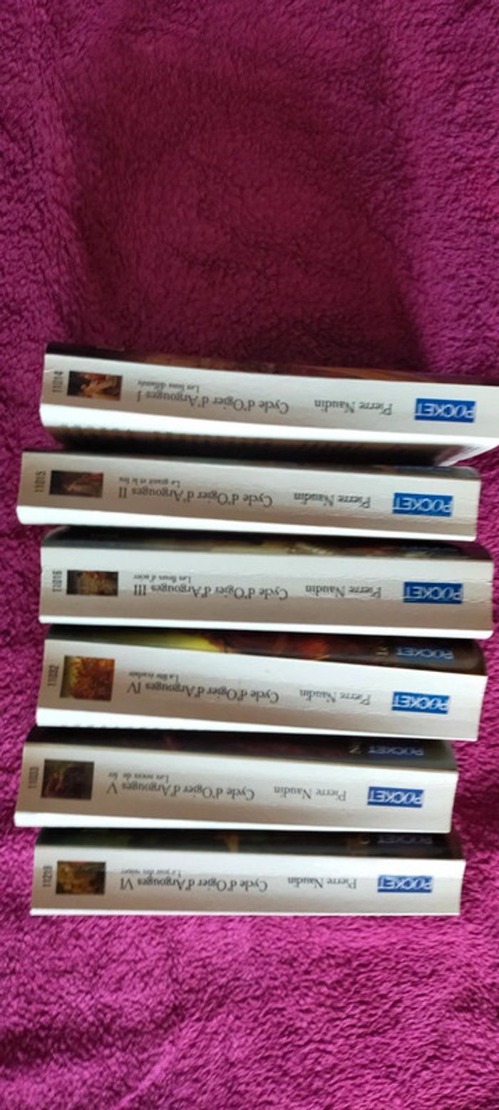 Cycle d'Ogier d'Argouges de Pierre Naudin - photo numéro 2