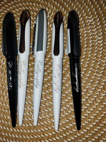 Lots de 5 Stylos plumes Calligraphie Online