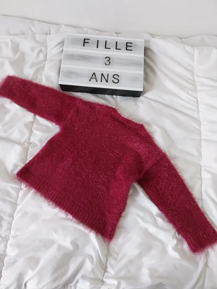 Pull fille 3 ans - photo numéro 2