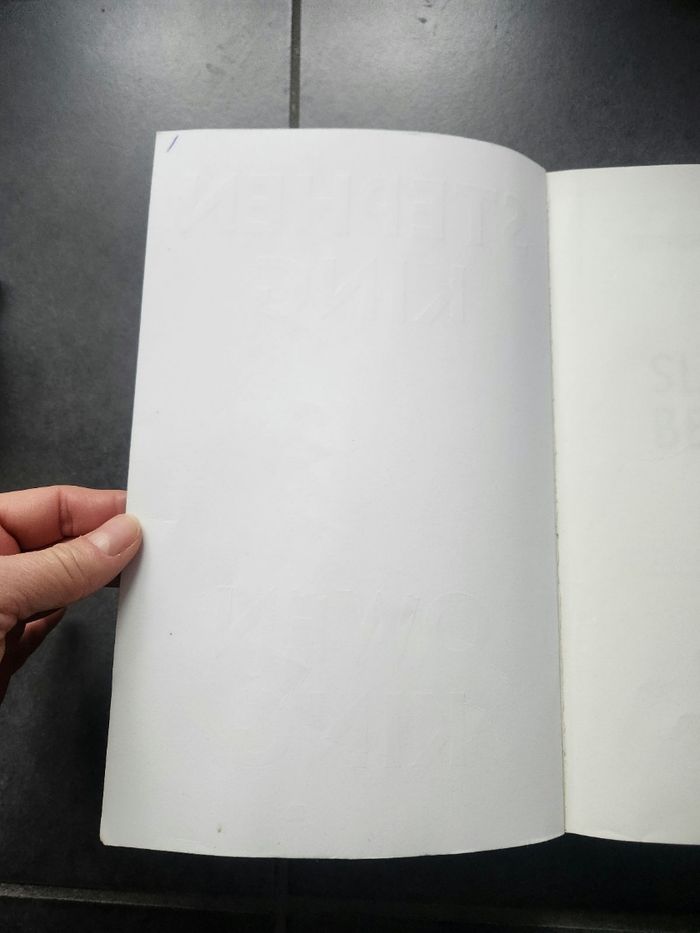 Sleeping beautés de Stephen King - photo numéro 2