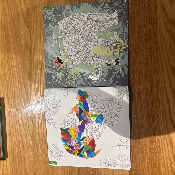 Mon super livre de coloriage - photo numéro 2