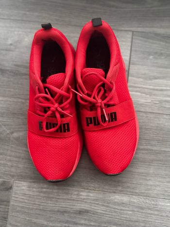 Basket puma