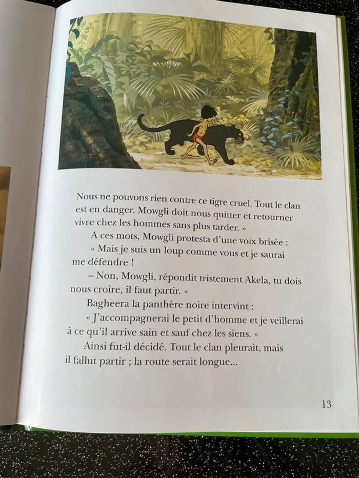 3 livres Disney - photo numéro 8