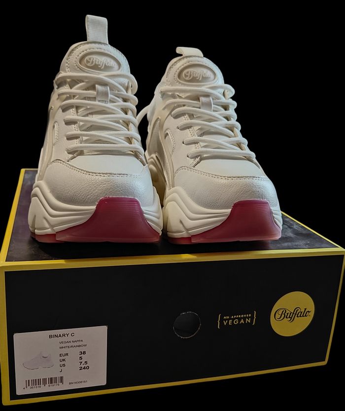 Buffalo rainbow lgbt - photo numéro 2