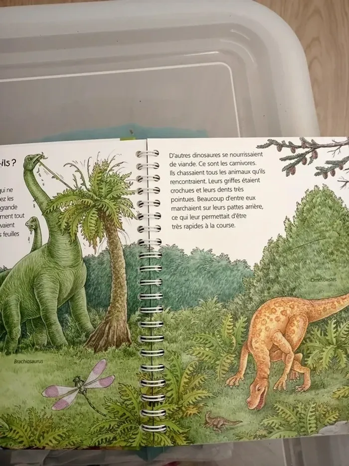 Les dinosaures - photo numéro 3