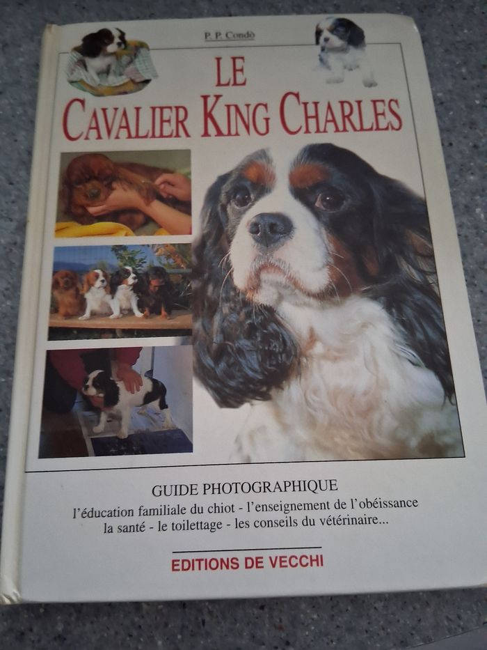 Le cavalier King Charles " condo"