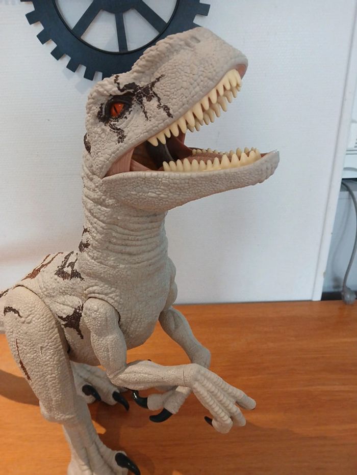 Jurassic world super colossal Atrociraptor - photo numéro 7