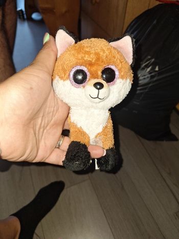 Petit renard du parc le petit prince