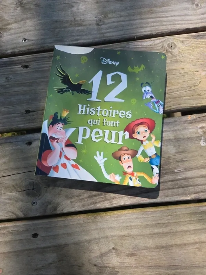 livre 12 histoires qui font peur