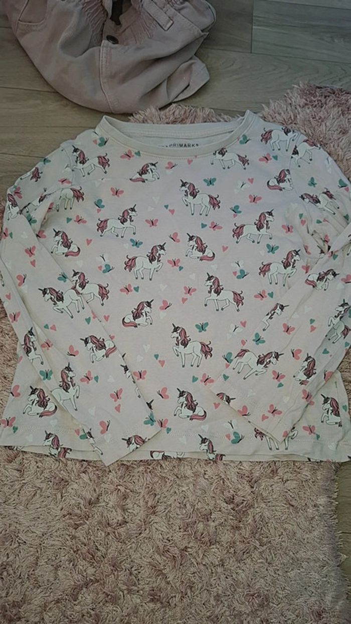 Manche longue licorne