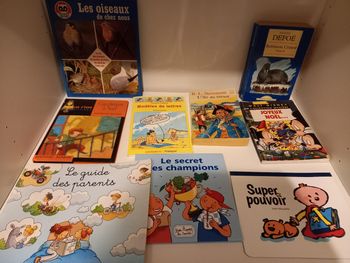 Lot de divers livres