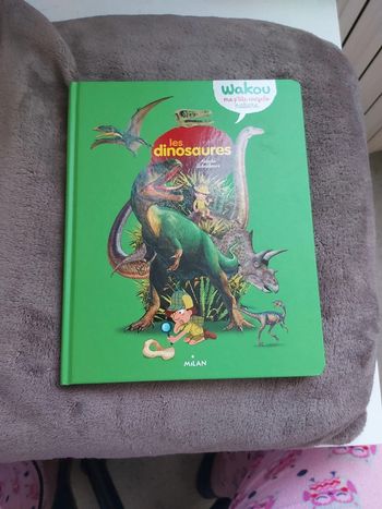 Livre sur les dinosaures