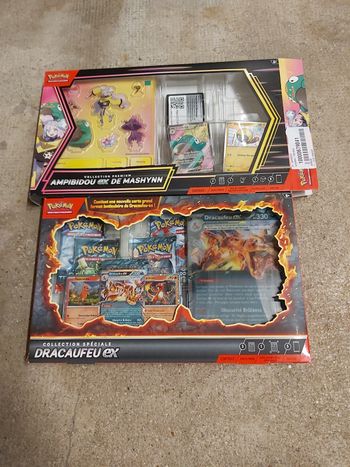 coffret dracaufeu ex et coffret ampibidou ex de mashynn