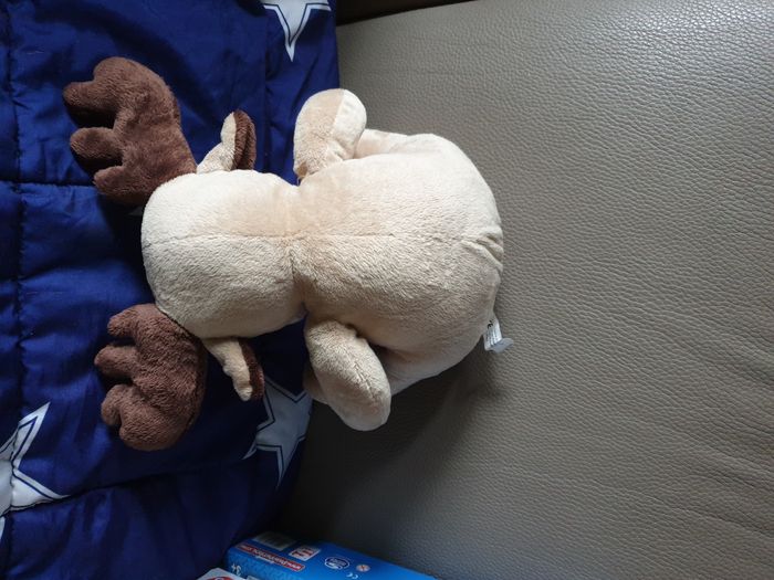 Elan de  Noel - photo numéro 2