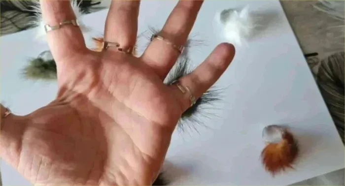 8 bagues fantaisie réglable - photo numéro 2
