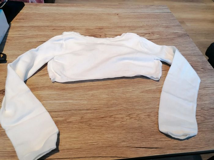 Boléro Orchestra - photo numéro 3