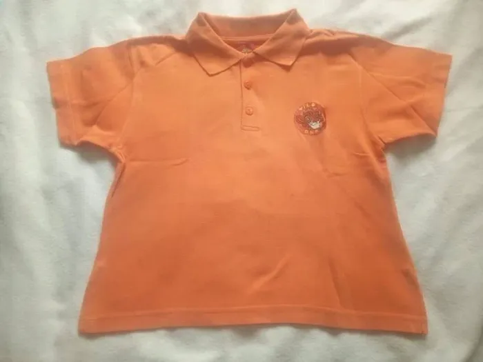 Lot 9 t shirts et polos - photo numéro 5
