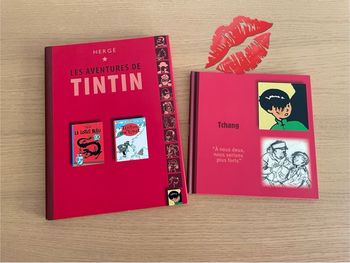 🌟 BD TINTIN