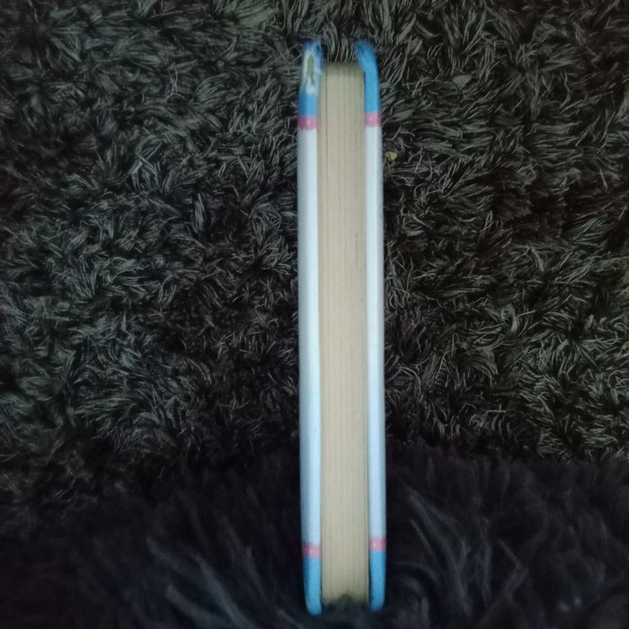 Livre bébé enfant - Mon petit bébé chat - photo numéro 4