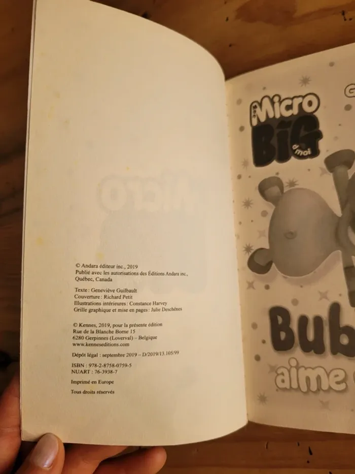 Livre pour première lecture - photo numéro 4